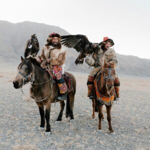 Explore the Gobi Desert